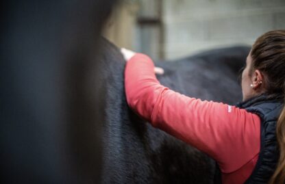 Ebook - Comprendre le dos du cheval "Prévenir et soulager"
