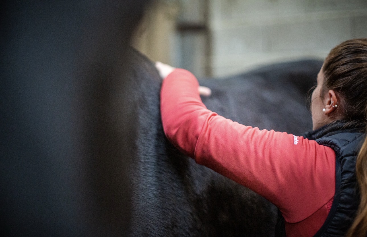 Ebook - Comprendre le dos du cheval "Prévenir et soulager" – Image 1