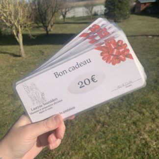 Bon cadeau Massage Equin – Image 1