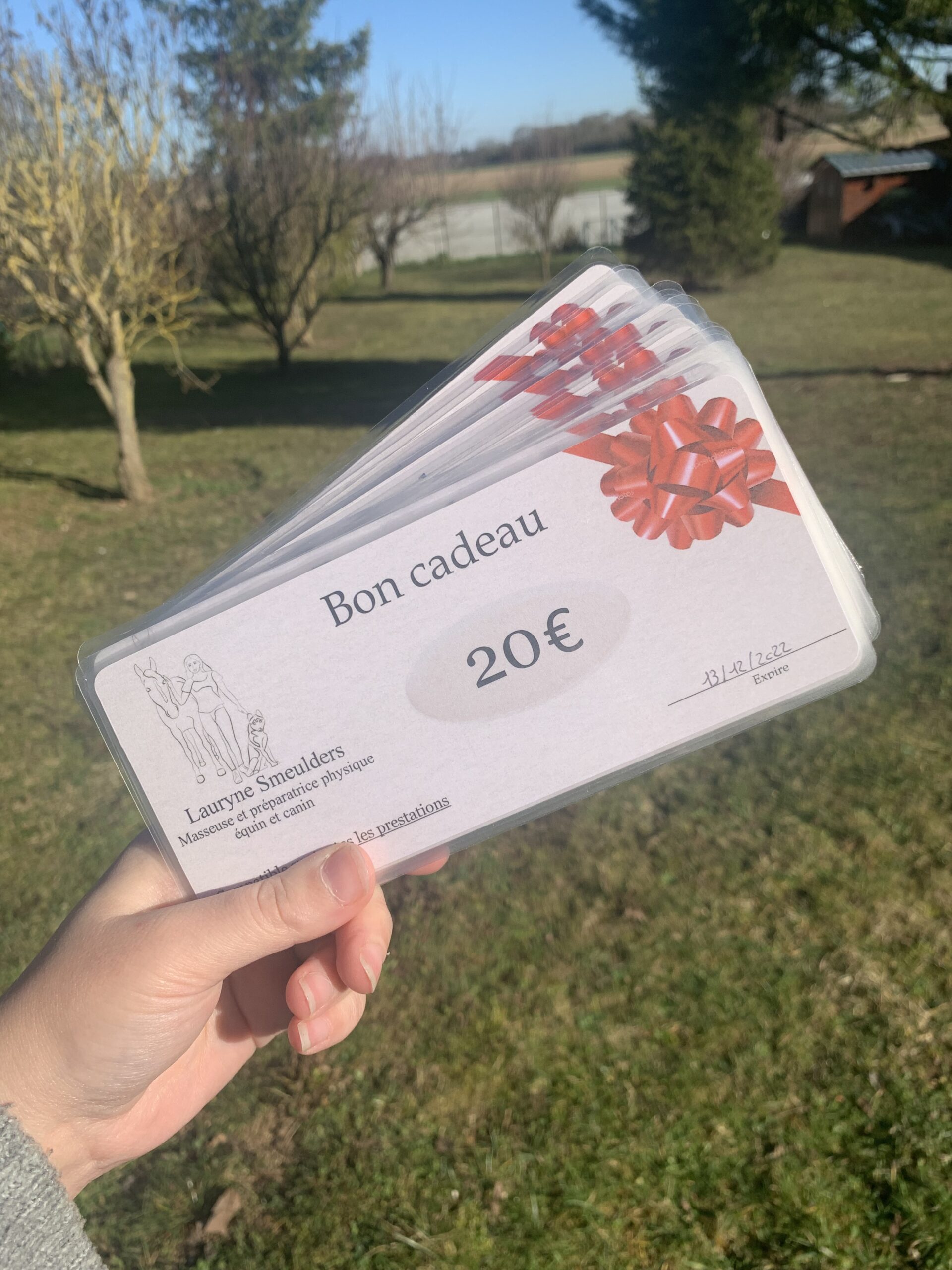 Bon cadeau Massage Equin – Image 1